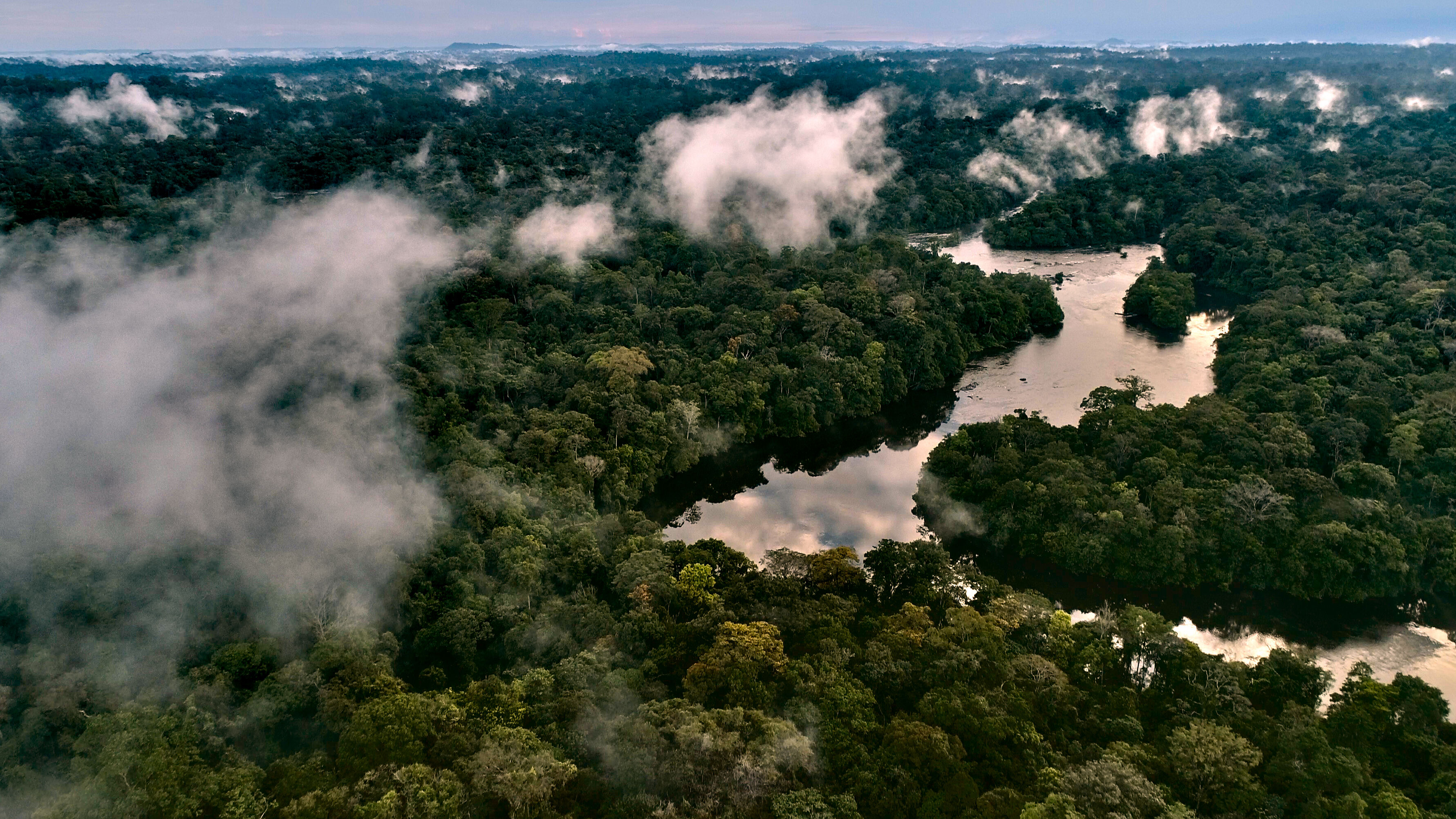 Amazonas 1.2.7 Bearbeitet