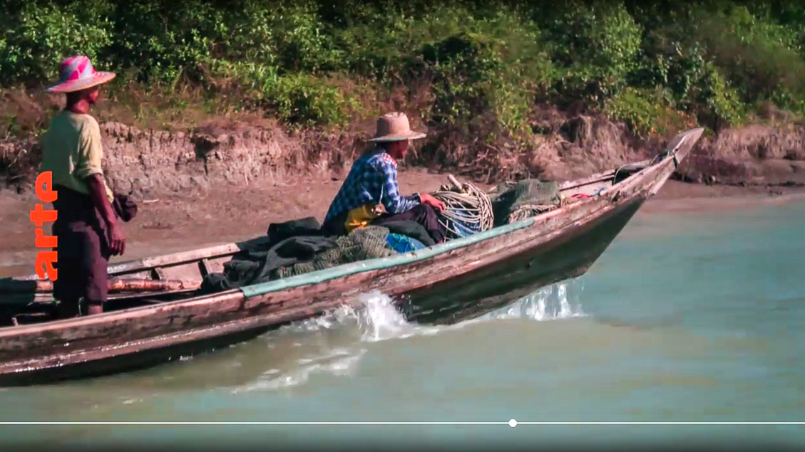 DELTAS DU MONDE : L'Irrawaddy - Le monde fascinant de la mangrove
