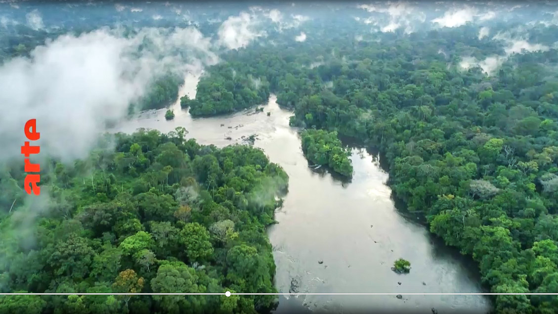 DELTAS DU MONDE : L'Amazone - Un trésor de biodiversité