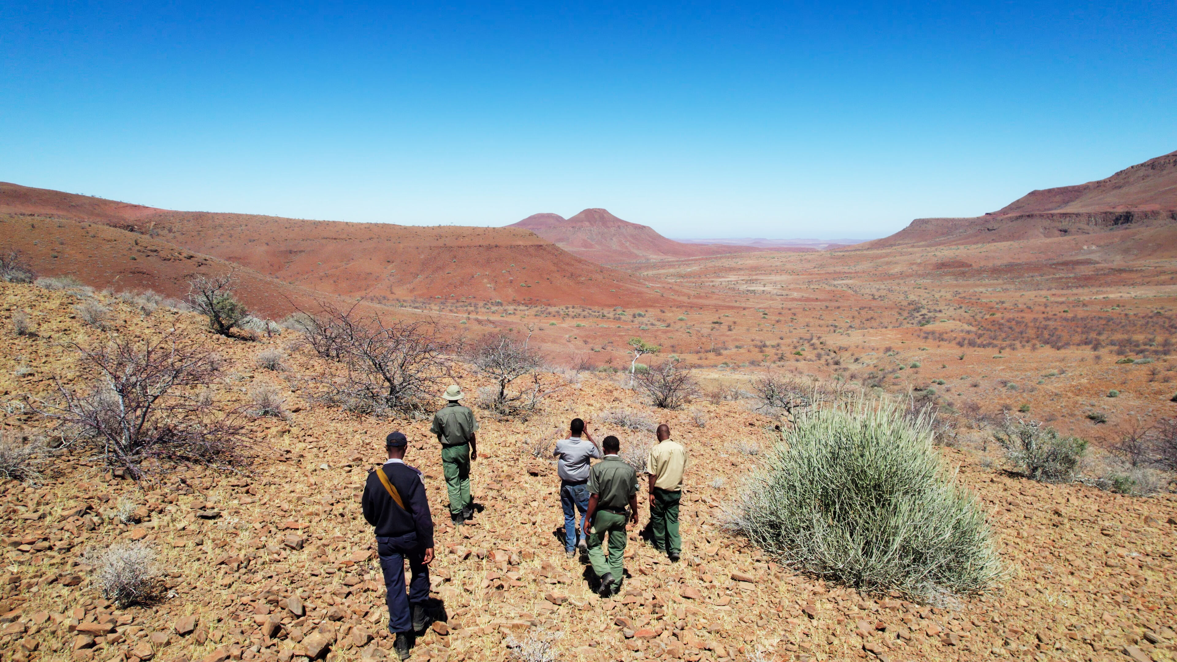 01 arche landschaft black rhino C Tarouquella